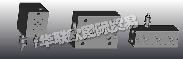 EUROFLUID Hydraulic是一家大型公司，專門生產(chǎn)液壓設(shè)備的歧管。